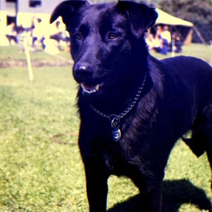 ❌🇳🇿Mutley 90210