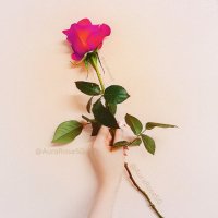 ✶ Aura Rose ✶