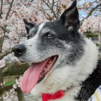 ｱﾝﾁｮﾋﾞ&ｻｰﾃﾞｨﾝ&ﾊｸ&ｴﾄﾙ&ｲﾄ@⑨