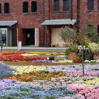 いっちゃん🍓🍓🍓