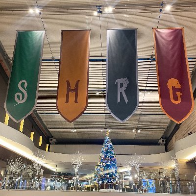 Yama🪄︎︎✨魔法の部屋