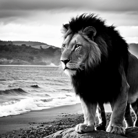 Positive Vibes 247 - Best Wishes for Your Success