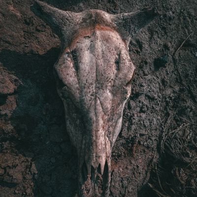 Rawan On Earth 😎🤏🏿