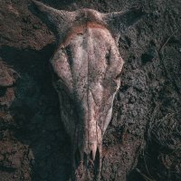 Rawan On Earth 😎🤏🏿