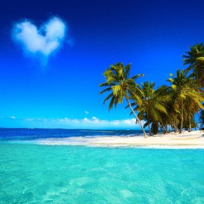 Antoinette-die-Wahre