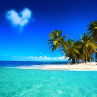 Antoinette-die-Wahre