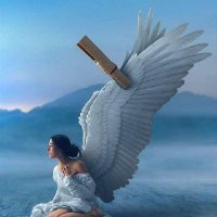 Antigone63 🇮🇹🍁