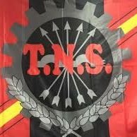 Sindicato TNS