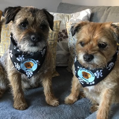 🇬🇧RESTORE boys Jack n Mac BTs🌈Jess❤️‍🩹Molly🌈