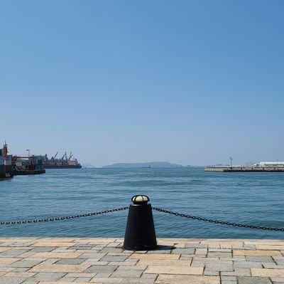 路傍のリウマチ科医