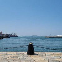 路傍のリウマチ科医