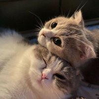 Quebrando expectativas.