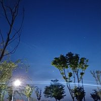 달 보고 짓는 걔