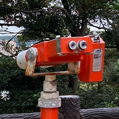 向島（v視聴用）