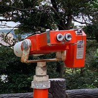 向島（v視聴用）