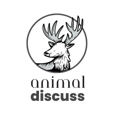 Animal Discuss