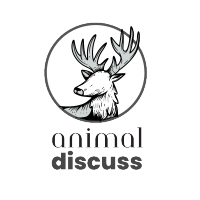 Animal Discuss