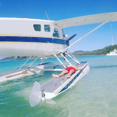 A P O L L O 🛡️ 𝕍