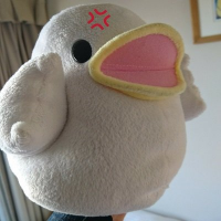 トシ坊（もも組）＠Next→戸松・花澤合同、417の日昼夜、ＤａｙＲｅ：昼夜、おみほＨＬＪ東