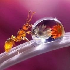 #Maria Antònia🌺🌻🍄🪺☀️☀️🦁