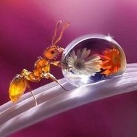 #Maria Antònia🌺🌻🍄🪺☀️☀️🦁