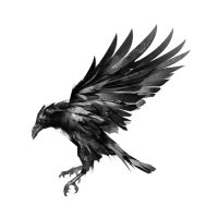 Crypt_karasu.crow.edge🦭