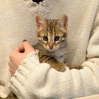 _𝕄𝔸ℝ𝕂_💔