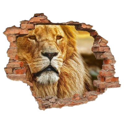 ℤ𝕚𝕓𝕚 🇵🇱 ⟳ MEGA POLSKA