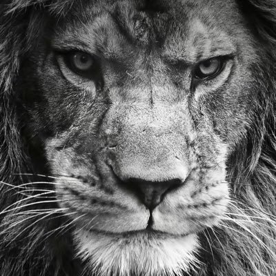 His GRACE Saves ✝️