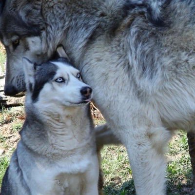 Daniel Vega ⭐️⭐️⭐️