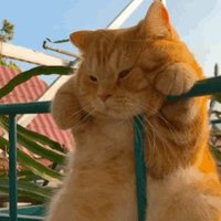 特価🤩毎日の宝探し