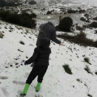 AnelanteConPrejudicio