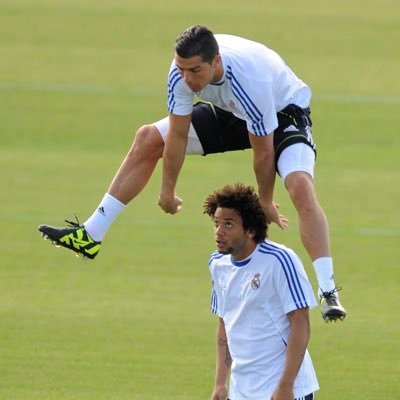 Sadjini Patrick Collins