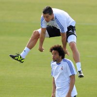 Sadjini Patrick Collins