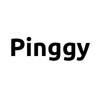 Pinggy