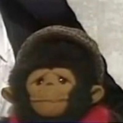 Neil Wooldridge 300w