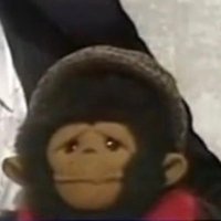 Neil Wooldridge 300w