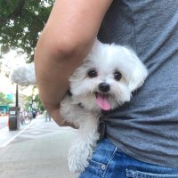 imดับเบิ้ลยูไอ