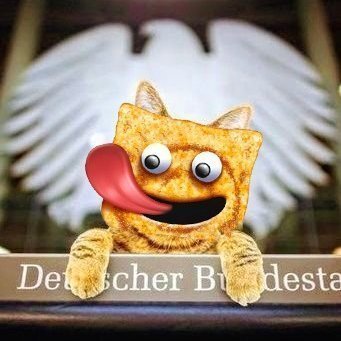 clyppers ᓚᘏᗢ ✪ 🇺🇦 🇪🇺