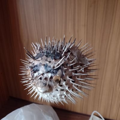 Krzysztof Kowalski #SilniRazem