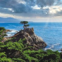 Johnny Utah #9 u/700