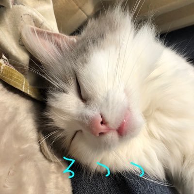 ろつつ@ヒーロー廃