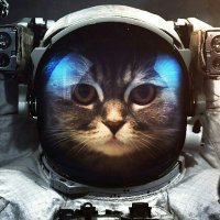 CatsInSpace2
