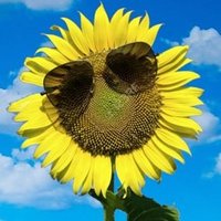 カズワクワク(*^^)v楽しく明るく