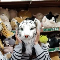 バント@みじんこすたいる🦠