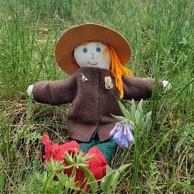 Adventures of Ranger Sarah