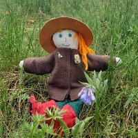 Adventures of Ranger Sarah