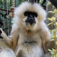 HCA Healthcare Veterinary Center