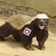 ratel 🇵🇱🇪🇺🇮🇱 Szanujmy się,kurwa!