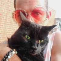 The Happy Veg ✌🥑🌈